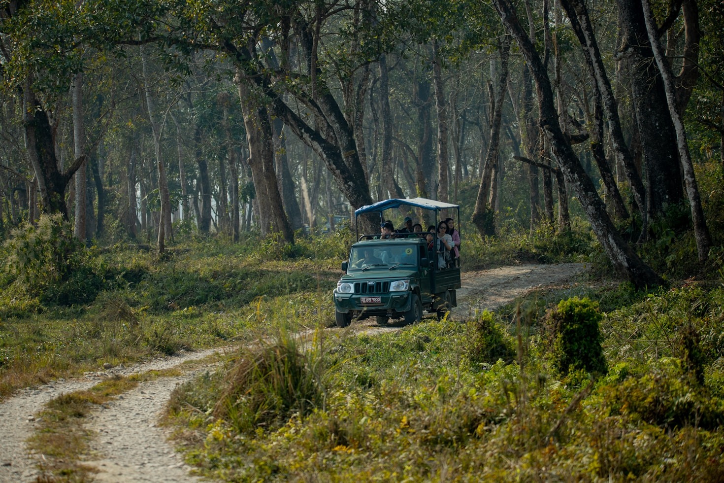 The Rise of Curated Travel Adventures