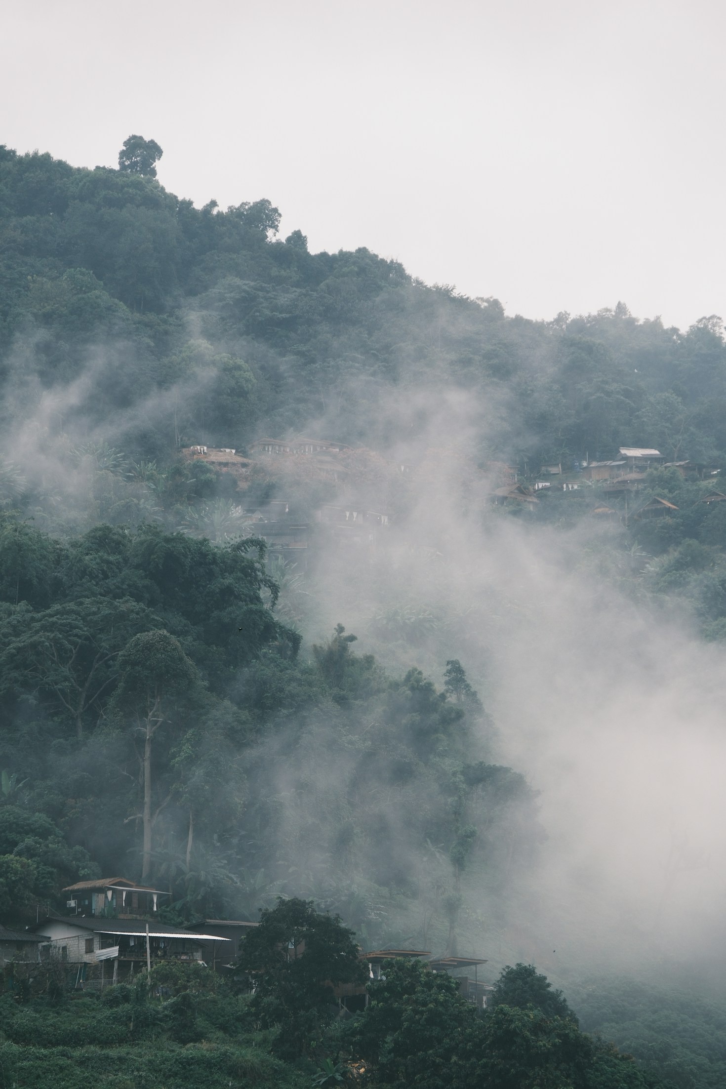 Exploring the Unexplored with Local Tours