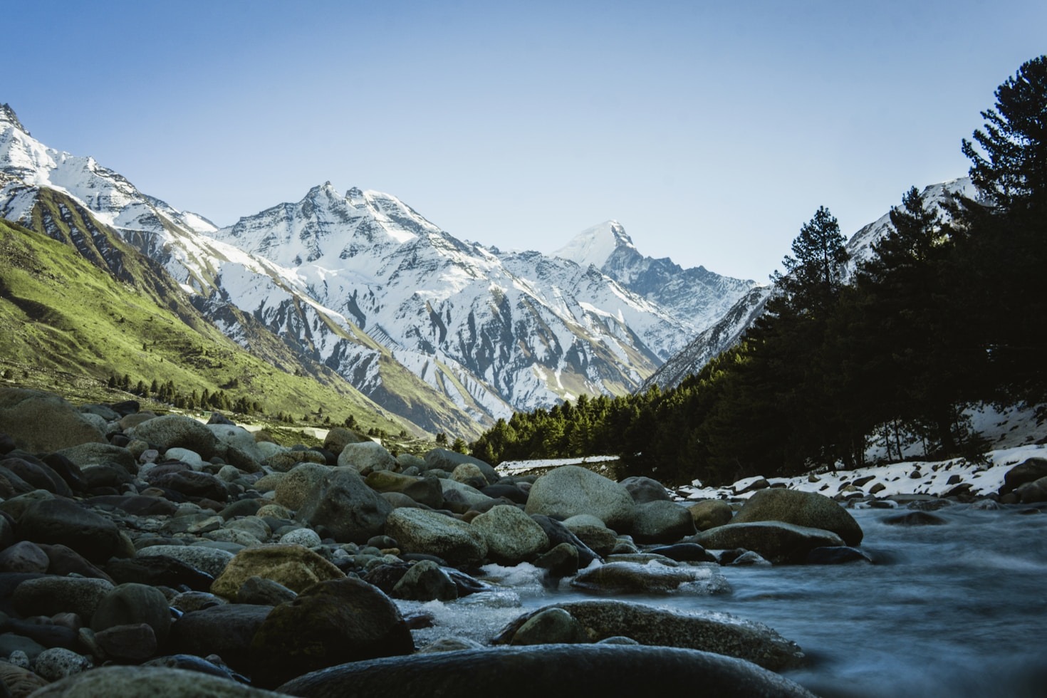 How Shilajit Supports Modern Wellness Routines